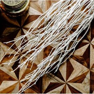 White, 2-3 Feet Birch Beech Branches for Decorating